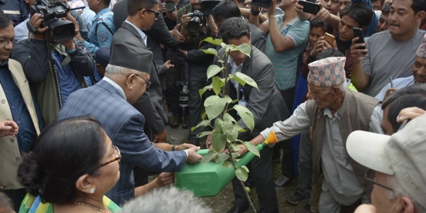 नासपतीको रुखको विरुवा रोप्दै प्रधानमन्त्रीले गरे वृक्षारोपण अभियानको शुभारम्भ, तस्बिरमा हेर्