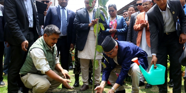 Every Household Should Have A Fruit Plant And A Tree: Prime Minister Oli