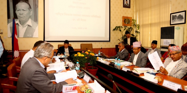 Need To Establish Norms For Consolidation Of Democracy: Prime Minister Oli